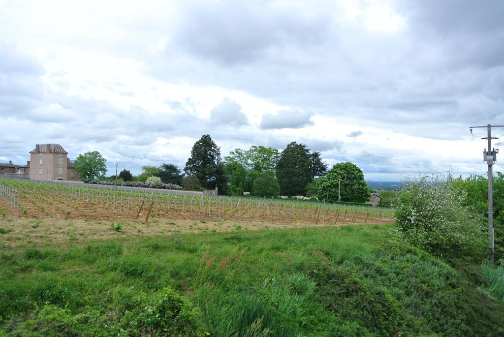 Hotel Des Vignes Juliénas Exteriér fotografie