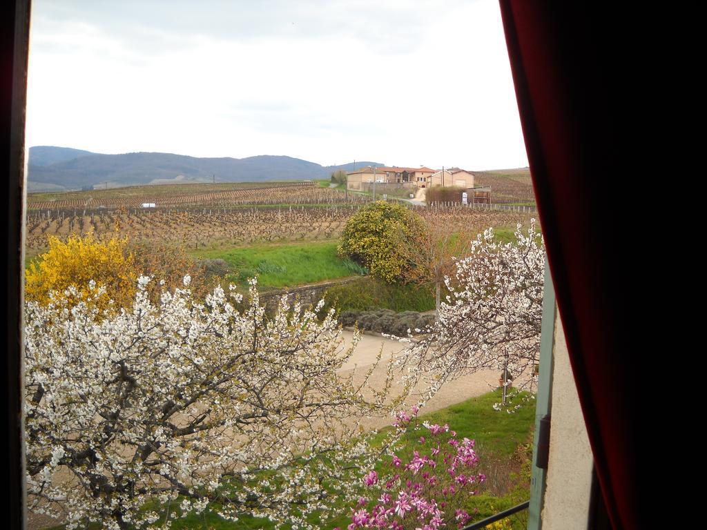 Hotel Des Vignes Juliénas Exteriér fotografie